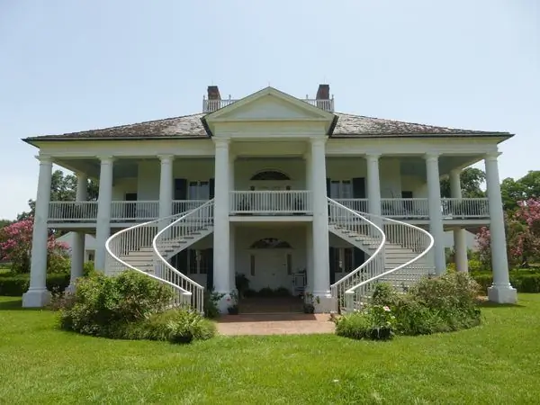 Вечнозеленая плантация