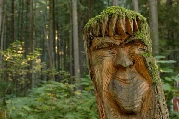 Зачарованный Лес