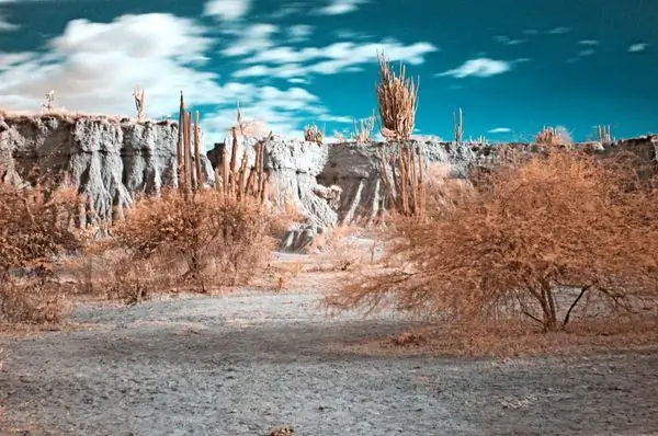 Пустыня Татакоа