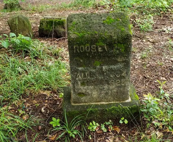 Кладбище Маунт Олив