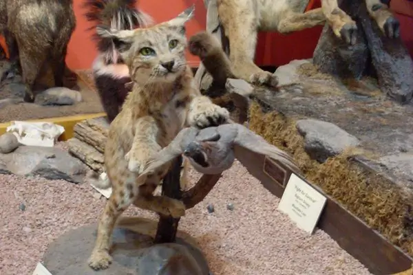 Горный музей суеверий