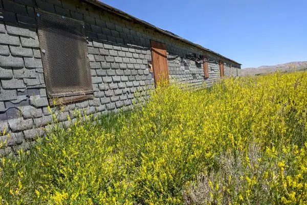 Центр переселения Heart Mountain