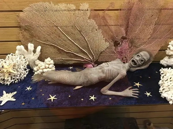 Discoversea Музей кораблекрушений