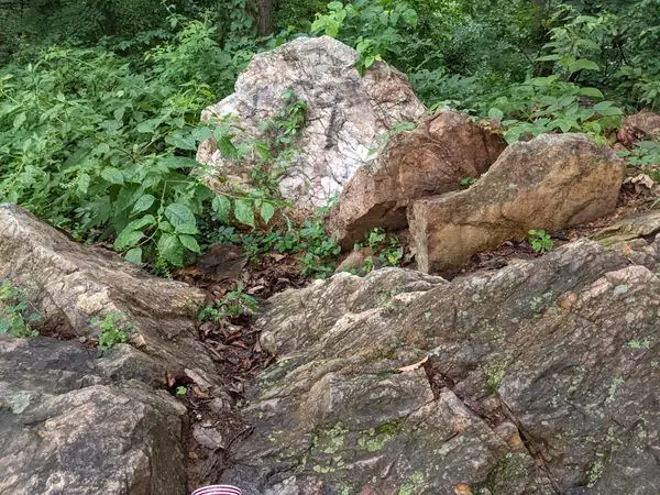 Замок Брендимор