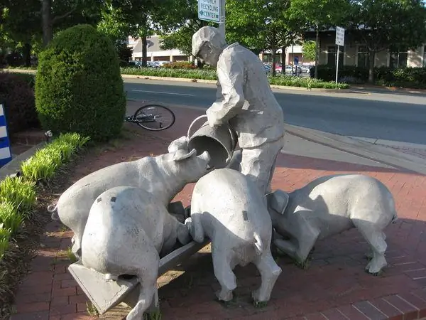 Человек, купающий свиней