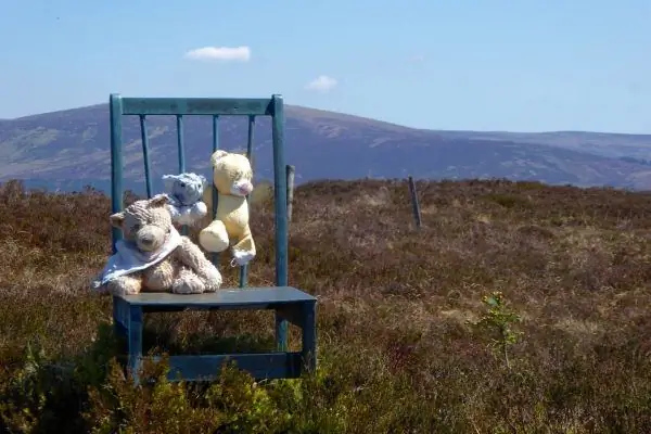 Мемориальное кресло Дэна Клэнси