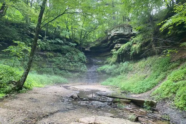 Чаша для пунша дьявола