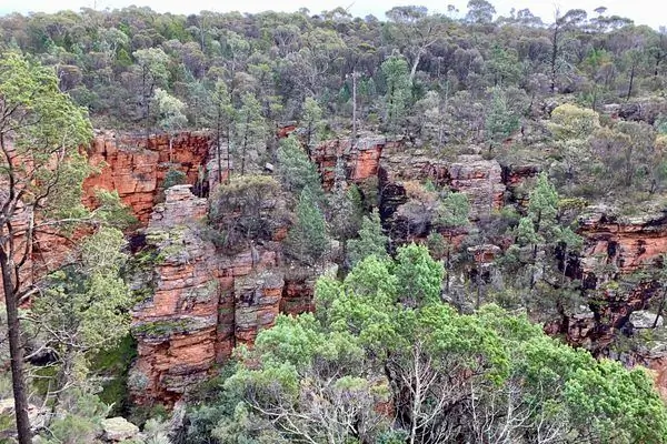 Ущелье Аллигаторов