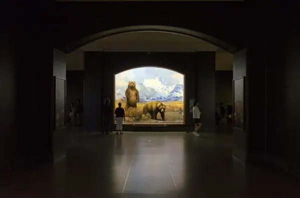 Зал млекопитающих Северной Америки