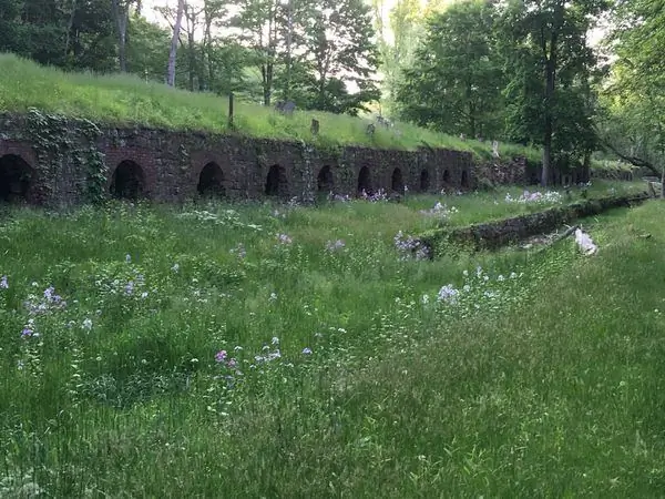 Leetonia Beehive Коксовые печи