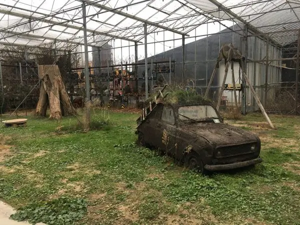 Удивительно странное искусство Фонда Вербеке