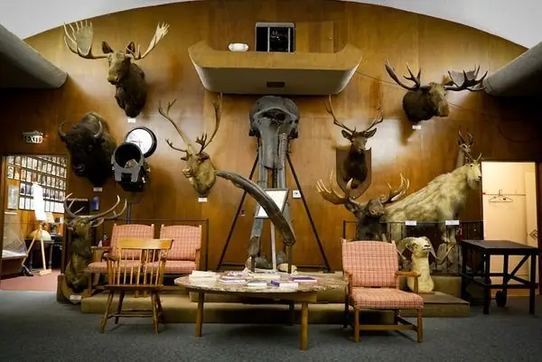 Клуб авантюристов Лос-Анджелеса