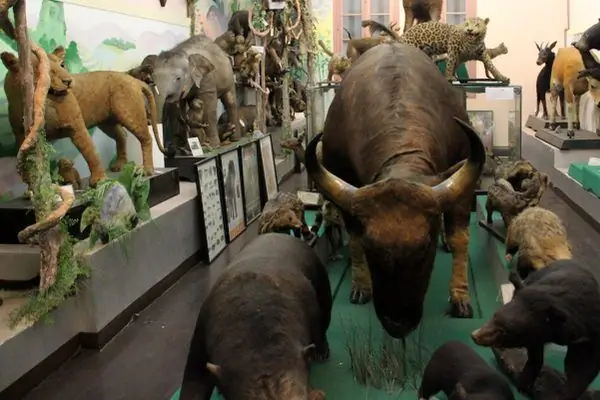 Bao tang Dong vat (Ханойский зоологический музей)