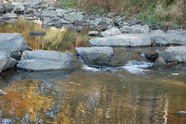 Бег на девять миль