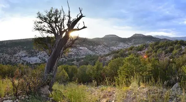 Ископаемый район «Войн костей»