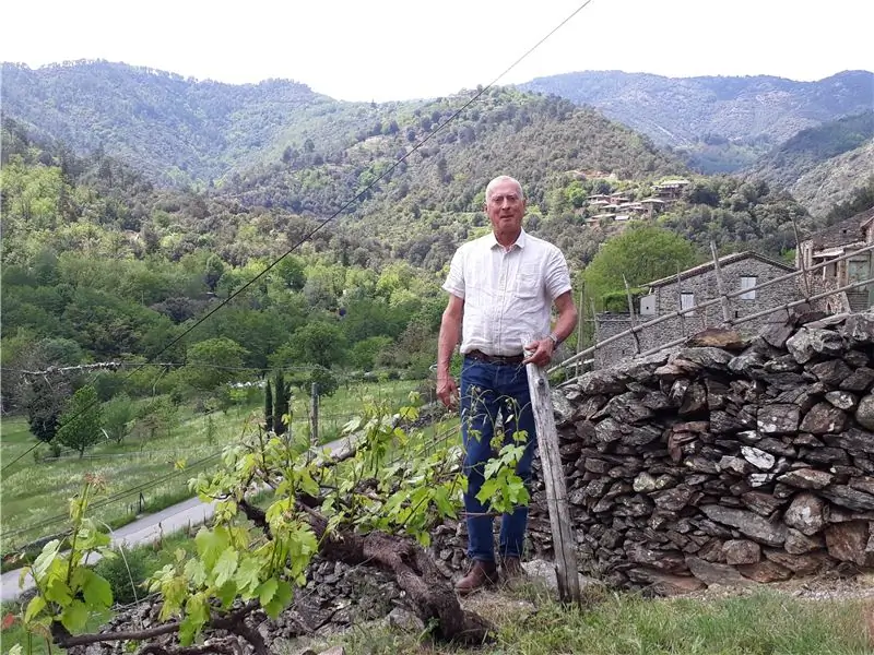 Гарнье на винограднике