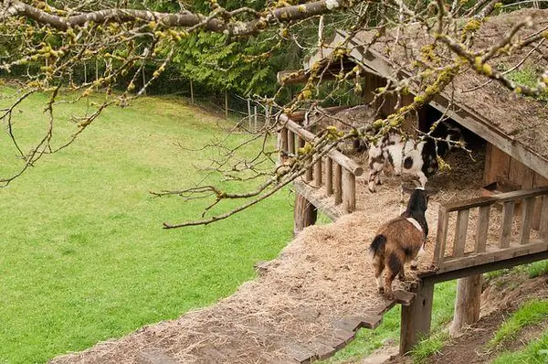Старый деревенский рынок