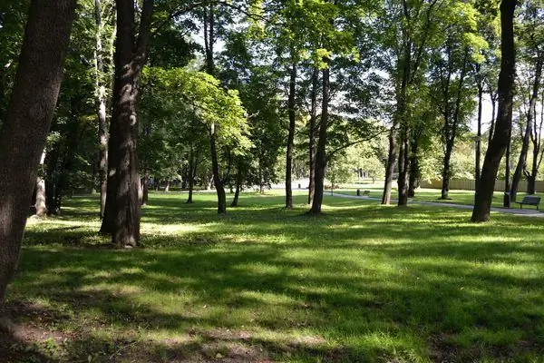 Кладбищенский парк Каламая