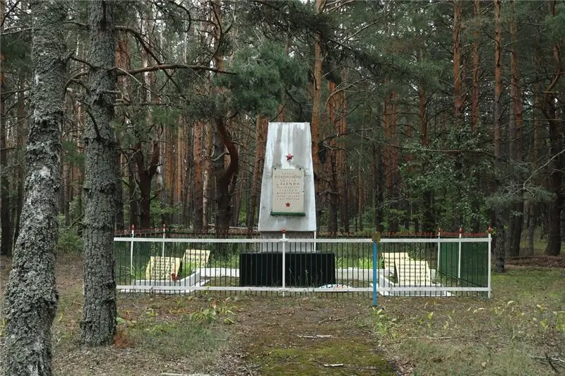 Мемориал Великой Отечественной войны в Бабчине увековечил память 294 местных жителей, погибших в боях с нацистами, и еще 21 человека, расстрелянных ими за один день