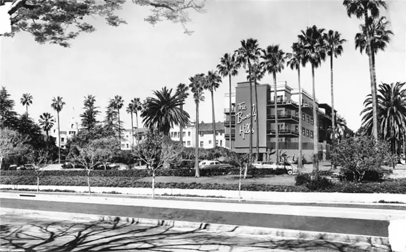 Пальмы возле отеля Beverly Hills, 1949 год