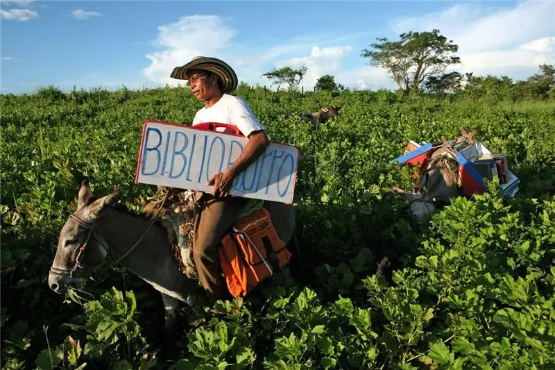 Буррос Альфа и Бето вместе с Луисом Сориано в 2008 году помогают учителю доставлять книги уже более 20 лет