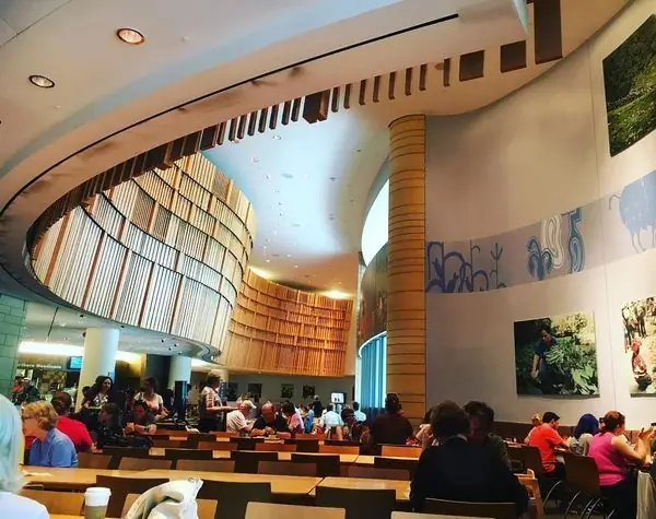 Мицитамское кафе национальной кухни