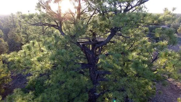 Смотровая площадка Кайбаба