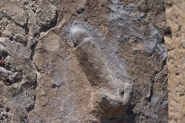 Каменные фаллосы Помпеи