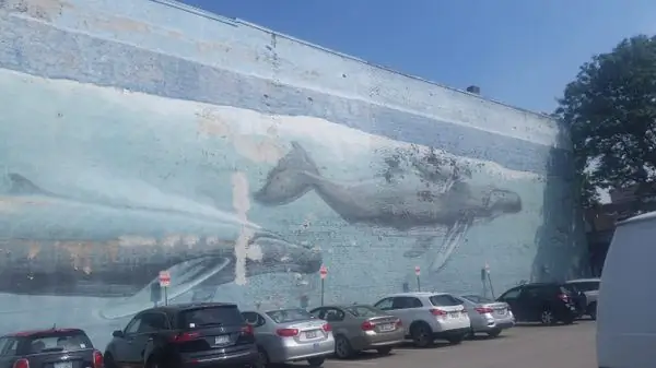 Китовая стена Портсмута