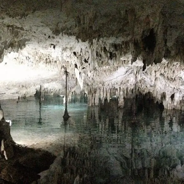 Кладбище домашних животных Сенот