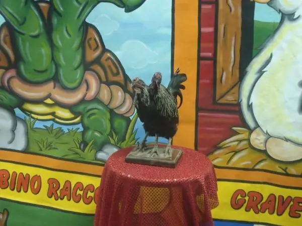 Музей центов в викторианском стиле в Висконсине