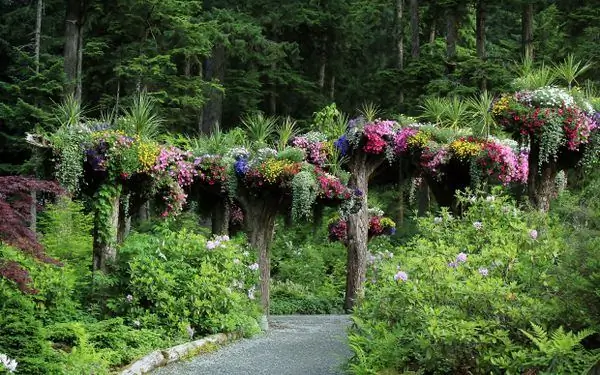 Перевернутый лес ледниковых садов