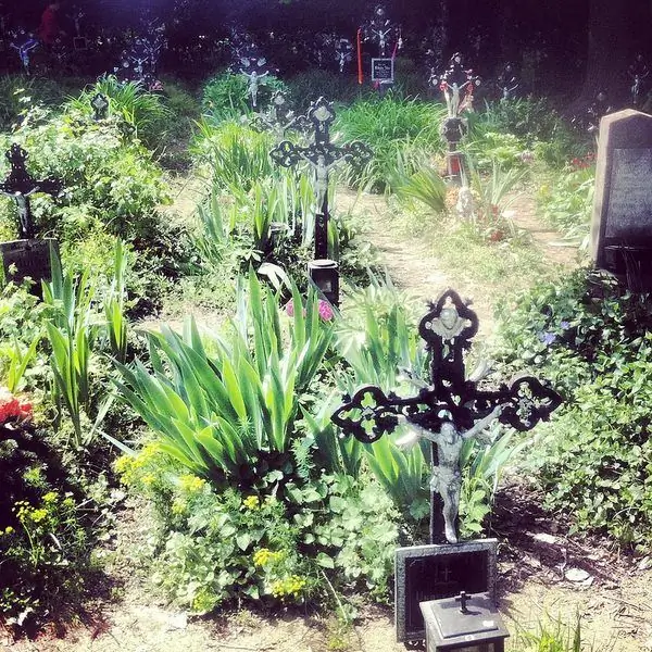 Кладбище Безымянных