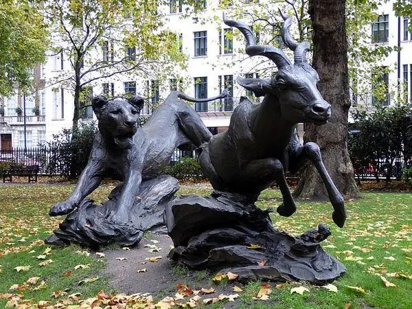 Львица и Малый Куду