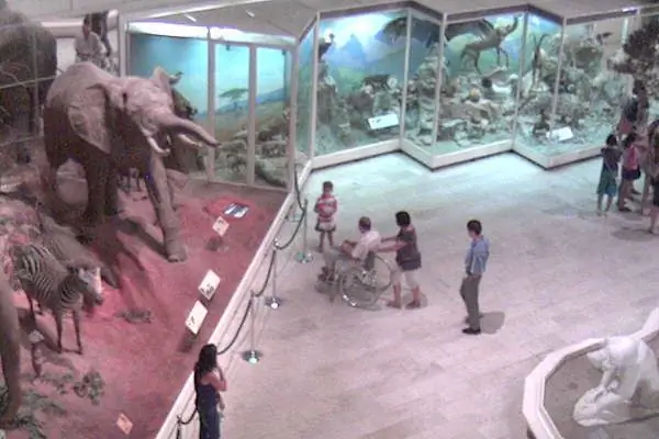 Государственный Дарвиновский музей