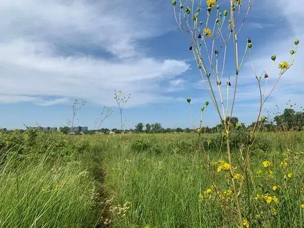 Прерии Волчьей дороги