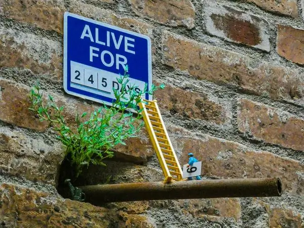 Карманный музей Хаттисберга