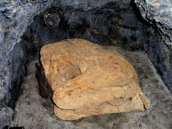 Мумии Лемон Гроув