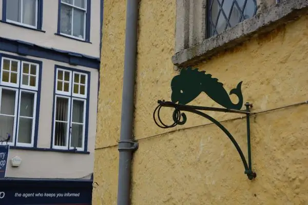 Тетбери Дельфинс