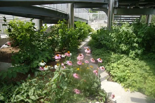 Прогулка на природе в Ньютаун-Крик