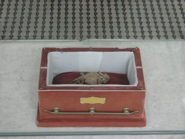 Странная история Старого Рипа