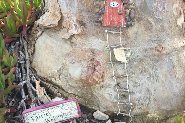 Сказочная тропа Осо-Крик