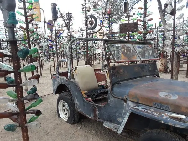 Ранчо бутылочного дерева Элмера Лонга