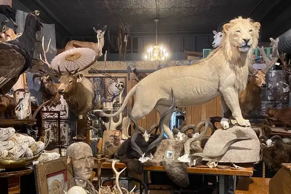 Двенадцать стервятников