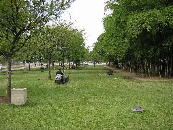 Этот городской парк хочет, чтобы вы ходили босиком