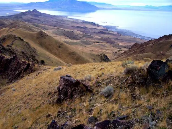 Остров Антилопы на Большом Соленом озере
