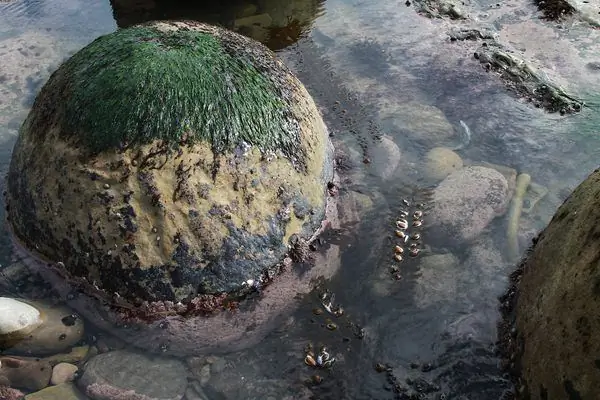 Боулинг на пляже