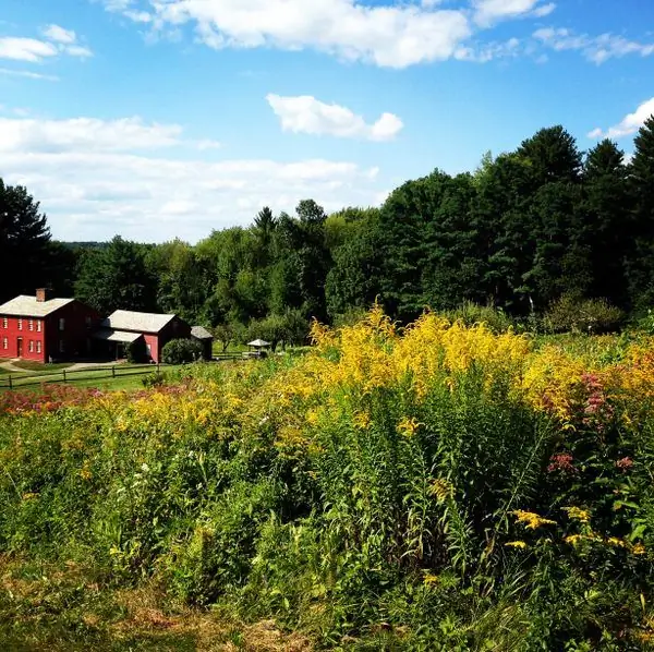 Музей фруктовых земель