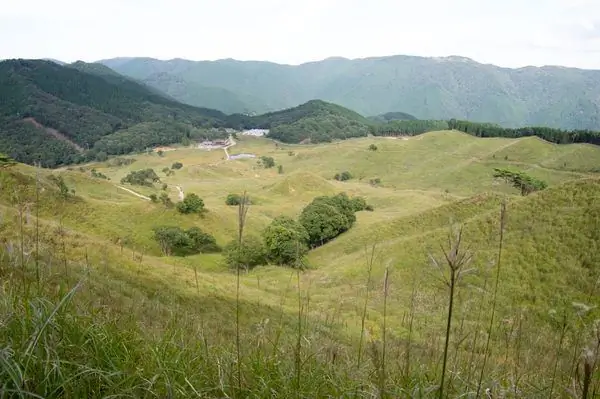 Тономине Хайлендс