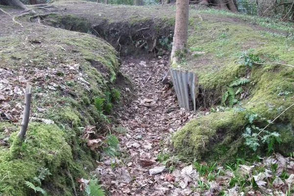 Учебные окопы времен Первой мировой войны